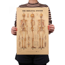 Load image into Gallery viewer, Human Skeleton Structure Kraft Paper Wall Art Print (42x29cm) - Decor Home