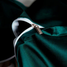 Load image into Gallery viewer, Embroidered Premium Quality Bed Sheet Set - Queen/King size 4 Pieces Set Green - Decor Home