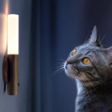 Load image into Gallery viewer, Smart Dual Infrared Sensor Light - Decor Home