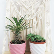 Load image into Gallery viewer, Wooden Floating Shelf Wall Hanging Macrame Planter - Decor Home