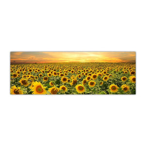 Sunflower Field Landscape Wall Art Prints (50x150cm) - Fansee Australia