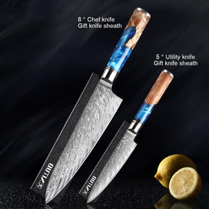 Damascus Steel VG10 Chef Knife Sets