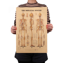 Load image into Gallery viewer, Human Skeleton Structure Kraft Paper Wall Art Print (42x29cm)

