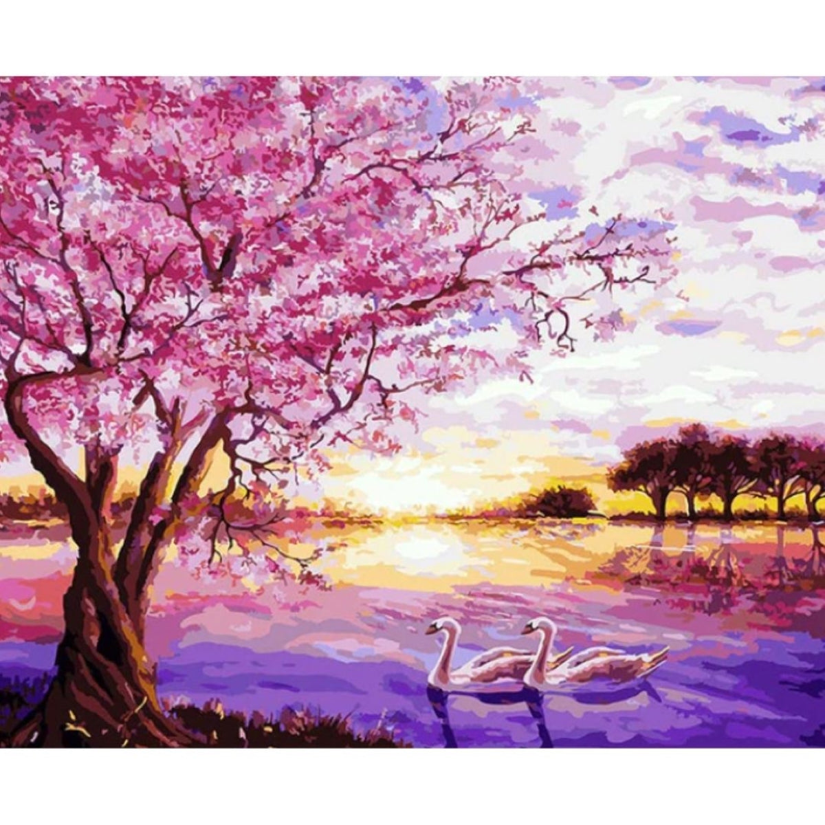 Painting By Numbers Kit - Beautiful Swans