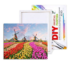 Load image into Gallery viewer, Painting By Numbers Kit - Flowers Field
