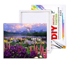 Load image into Gallery viewer, Painting With Numbers Kit - Mountain Flowers
