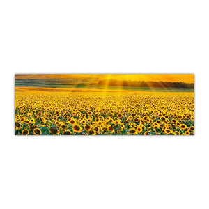Sunflower Field Landscape Canvas Prints (50x150cm) - Fansee Australia