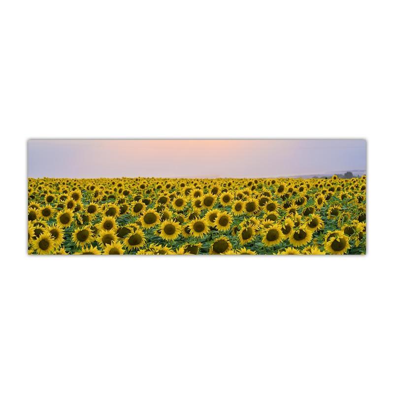 Sunflower Wall Art Prints (50x150cm) - Decor Home
