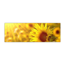 Load image into Gallery viewer, Sunflower Field Landscape Canvas Prints (50x150cm) - Fansee Australia
